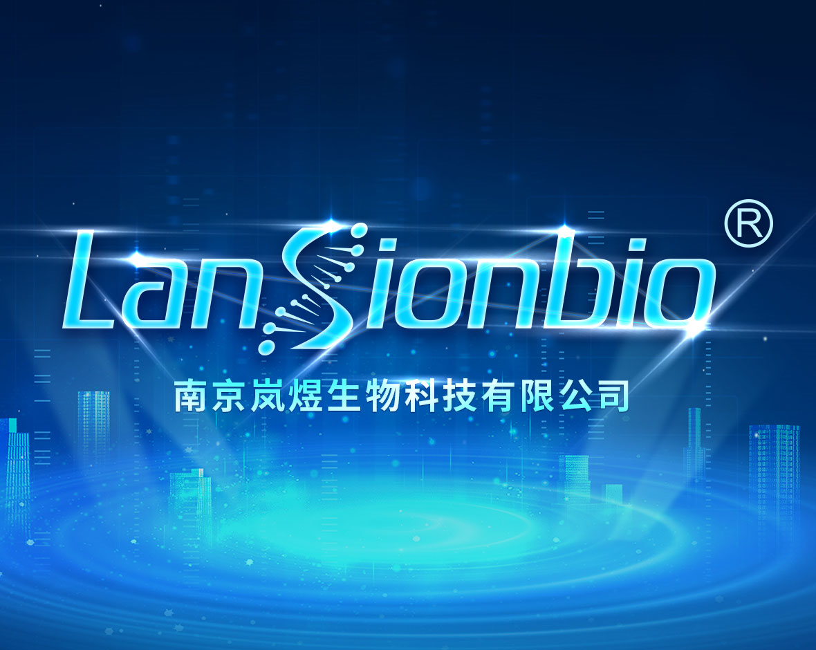 2024年新澳门官方网站